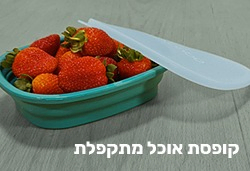 קופסת אוכל מתקפלת